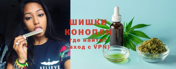 дмт Надым