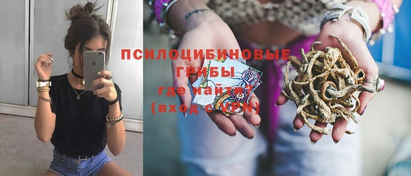 сатива Абдулино