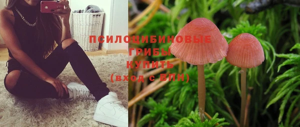 сатива Абдулино